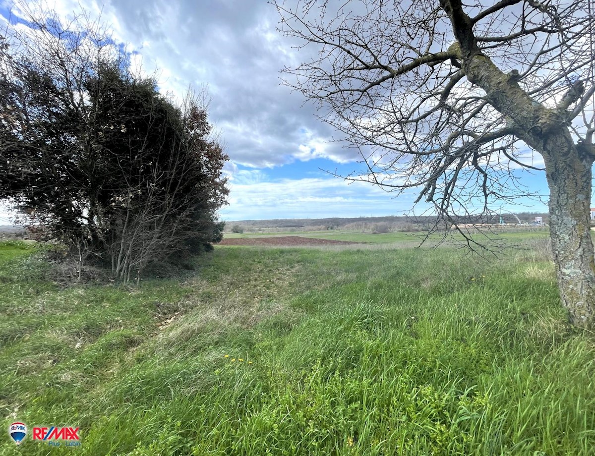 Terreno In vendita