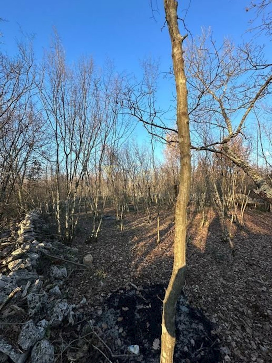 Land For sale - PRIMORSKO-GORANSKA KRK