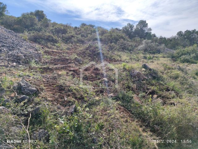 Land For sale - Splitsko-dalmatinska Vis - foto 5/8