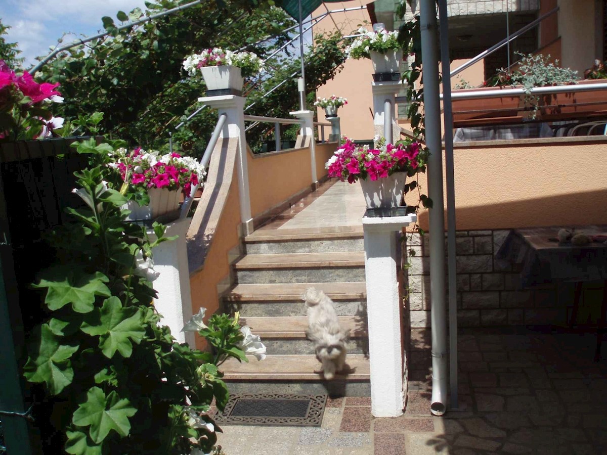 Haus Zu verkaufen - Istarska Fažana - foto 5/18