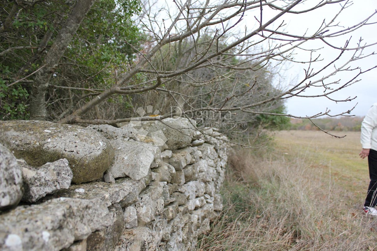 Parcela Na predaj - ISTARSKA VODNJAN