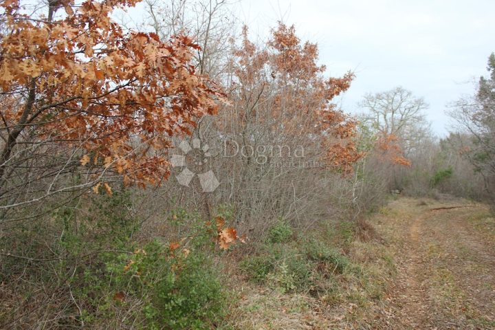 Land For sale - Istarska Vodnjan - foto 3/3