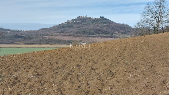 Land for sale 4800 m² – Motovun