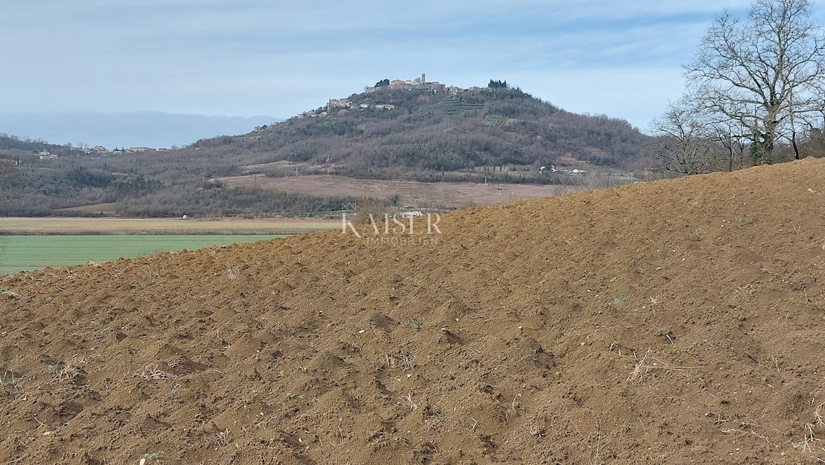 Terrain À vendre - Istarska Motovun - foto 1/2