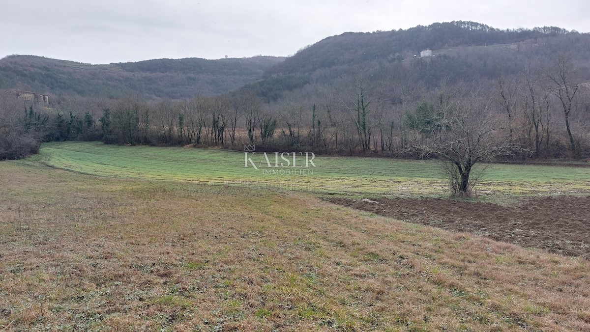 Terrain À vendre - Istarska Motovun - foto 2/2