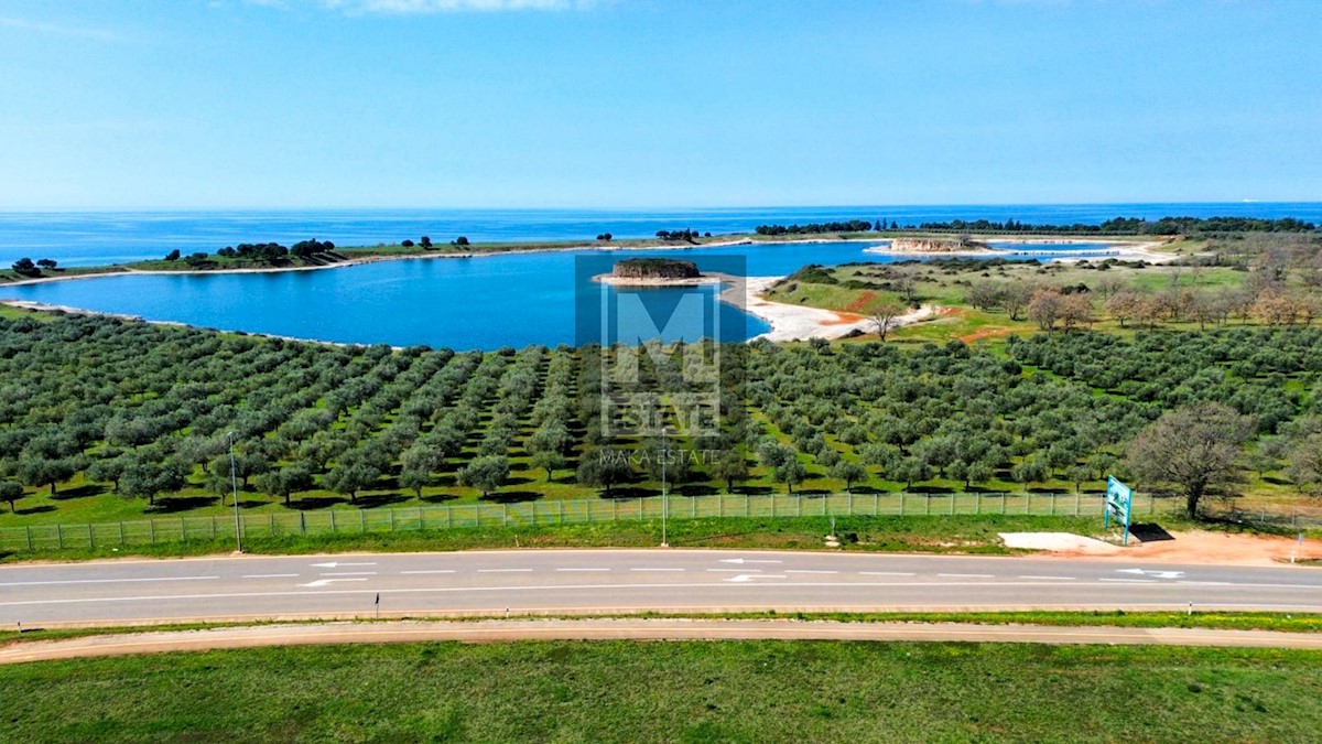 House For sale - ISTARSKA UMAG