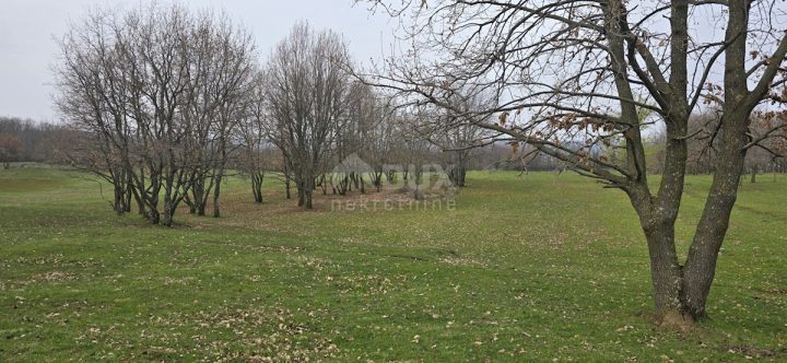 Zemljište na prodaju 10053 m² – Labin
