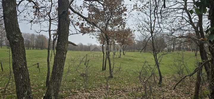 Grundstück Zu verkaufen - Istarska Labin - foto 2/14