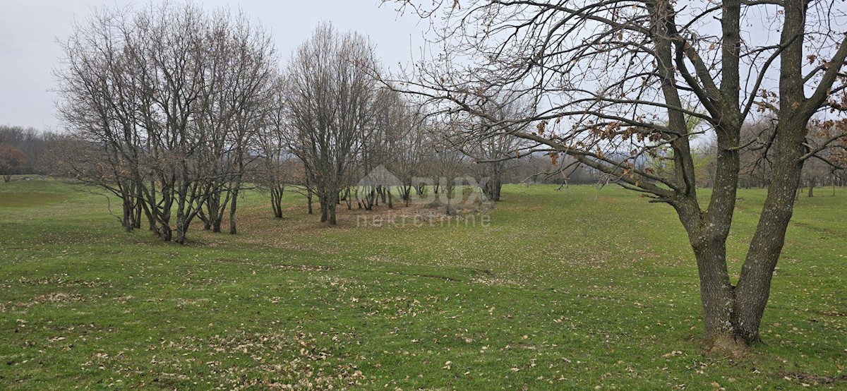 Terreno In vendita - ISTARSKA LABIN