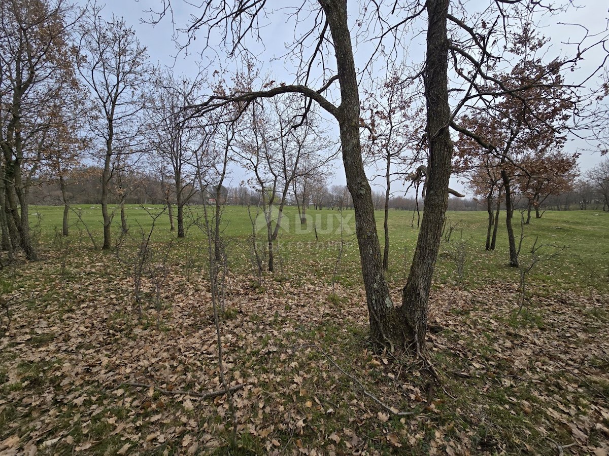 Terreno In vendita - ISTARSKA LABIN