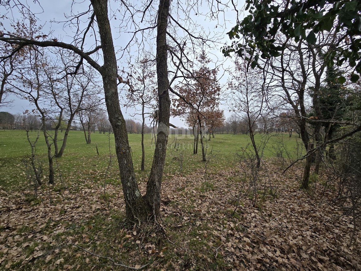 Terreno In vendita - ISTARSKA LABIN