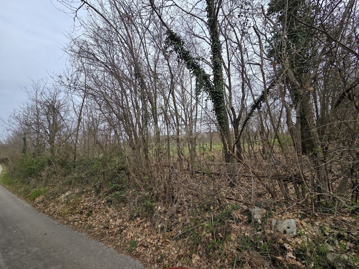 Parcela Naprodaj - ISTARSKA Labin