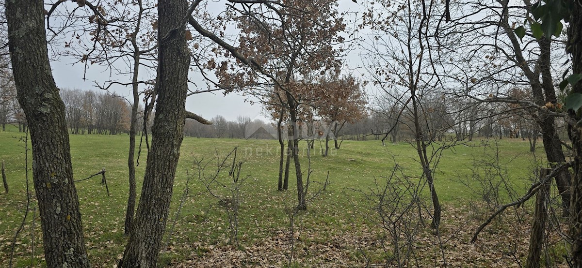 Terreno In vendita - ISTARSKA LABIN