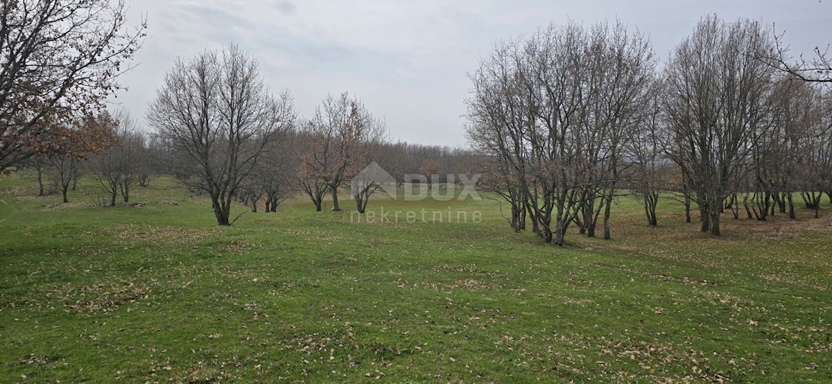 Terreno In vendita - ISTARSKA LABIN