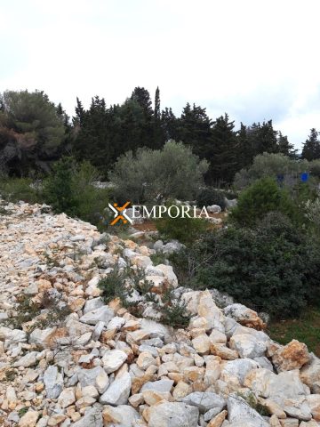 Land For sale - Zadarska Pašman - foto 2/2