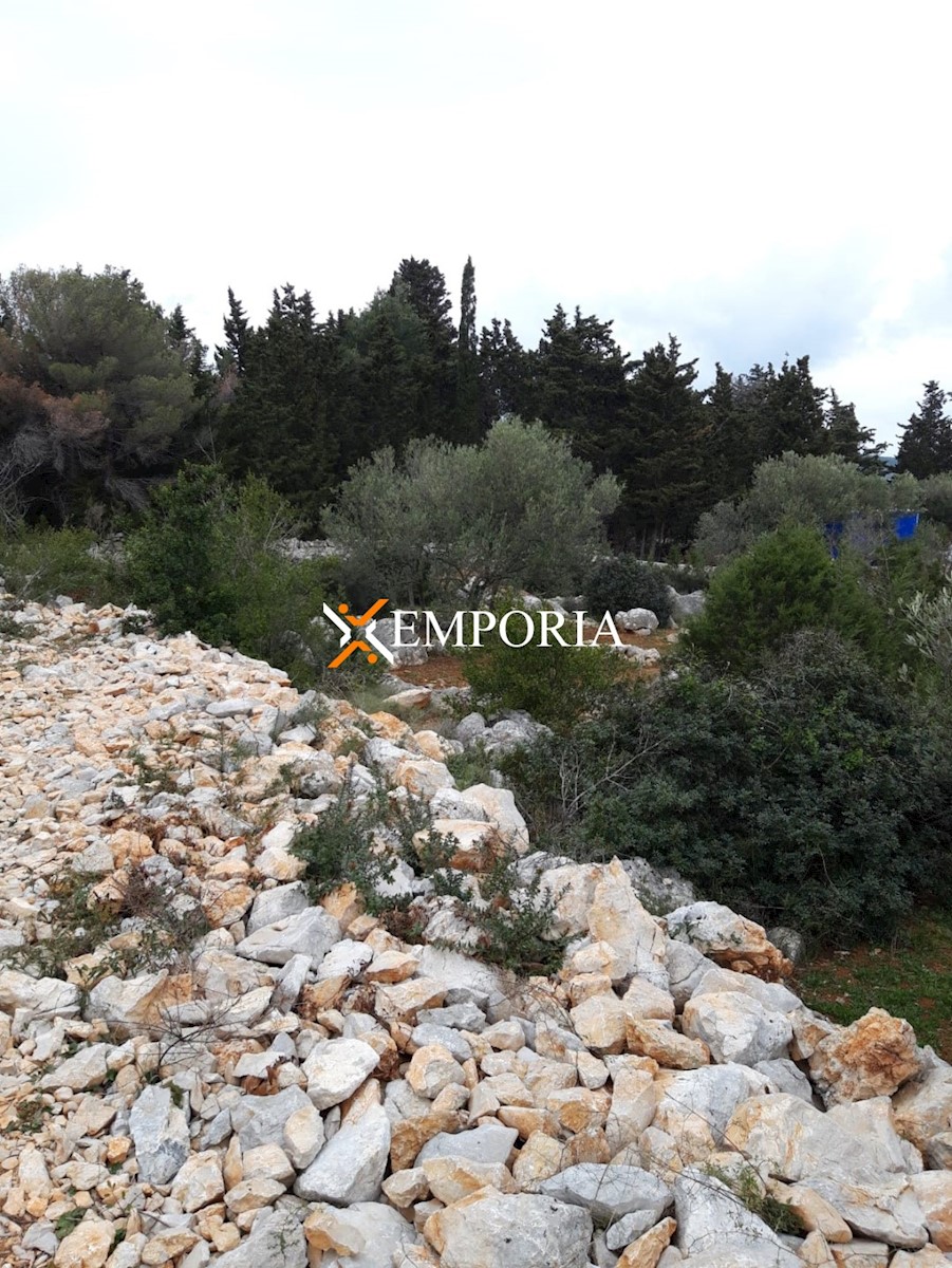 Land For sale - ZADARSKA PAŠMAN