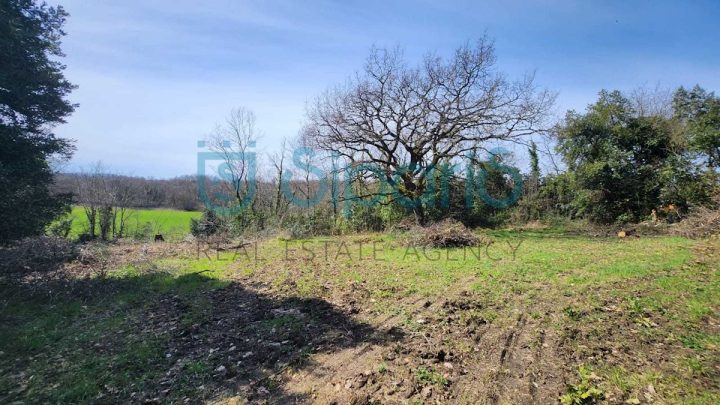 Land For sale - Istarska Brtonigla - foto 2/3