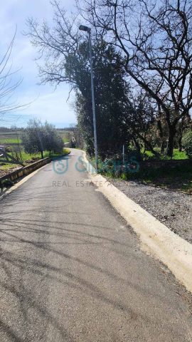 Land For sale - Istarska Brtonigla - foto 3/3