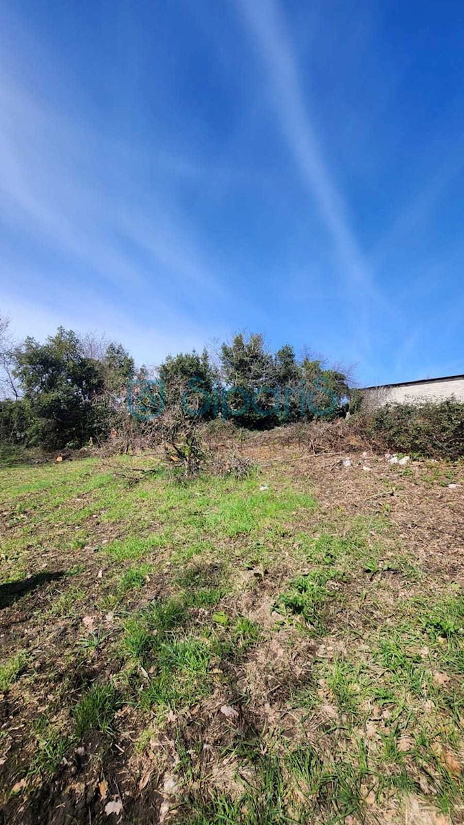 Land For sale NOVA VAS