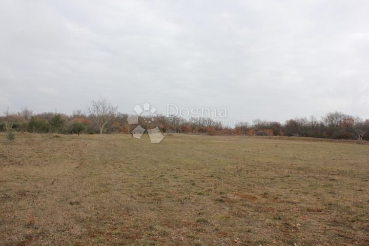 Zemljište na prodaju 509 m² – Vodnjan