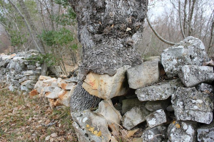 Pozemok Na predaj - Istarska Vodnjan - foto 4/9