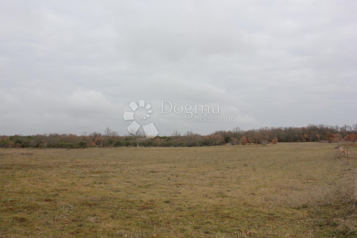 Terreno In vendita