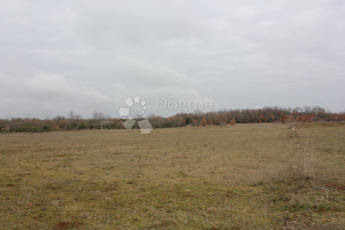 Terrain À vendre - Istarska Vodnjan - foto 5/9
