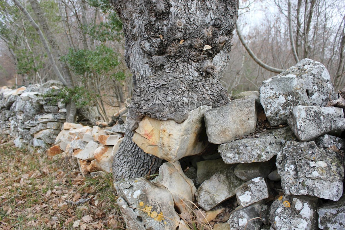 Zemljište Na prodaju - ISTARSKA VODNJAN