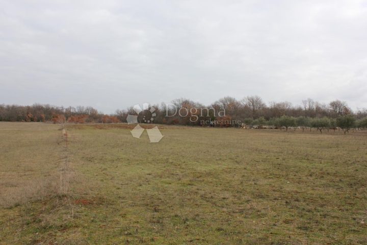 Zemljište na prodaju 552 m² – Vodnjan