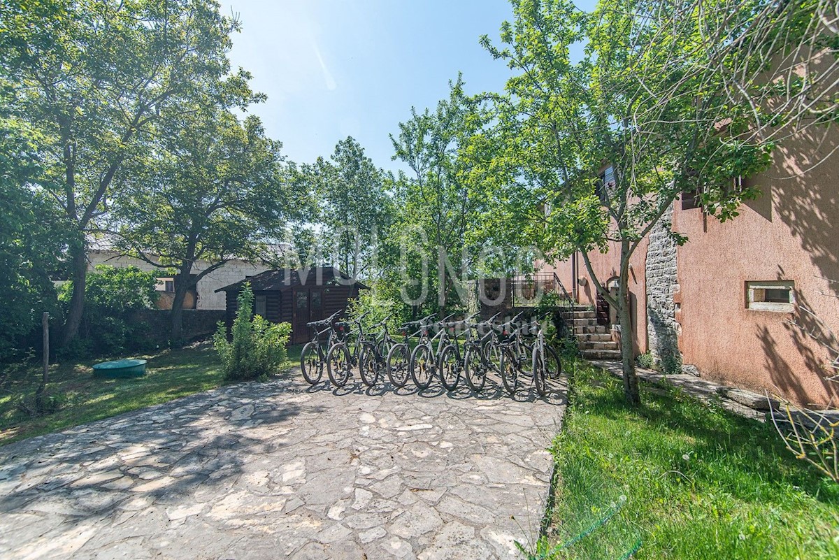 House For sale - ISTARSKA ŽMINJ