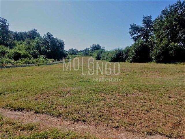 Land For sale - Istarska Svetvinčenat - foto 2/2