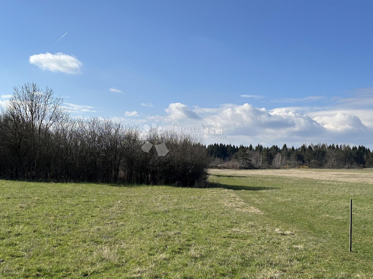 Terreno In vendita - LIČKO-SENJSKA GOSPIĆ