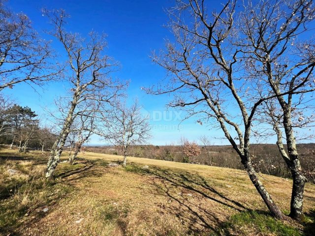 Terreno In vendita - Istarska Buje - foto 5/6