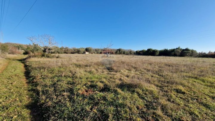 Pozemek na prodej 7249 m² – Rovinjsko Selo