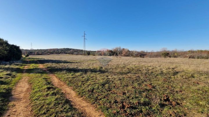 Pozemek na prodej 6599 m² – Rovinjsko Selo