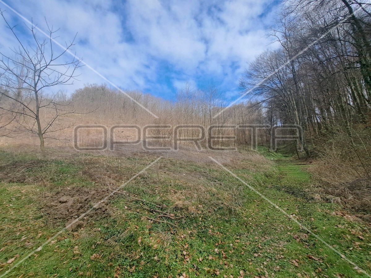 Land For sale - KRAPINSKO-ZAGORSKA TUHELJ