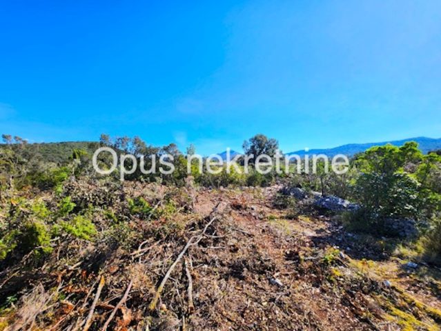 Pozemok na predaj 4666 m² – Drače