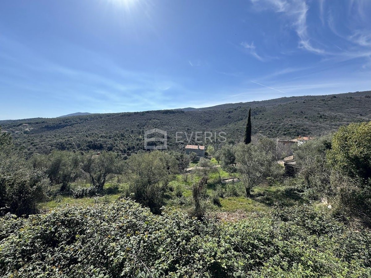 Land For sale - ISTARSKA RAŠA