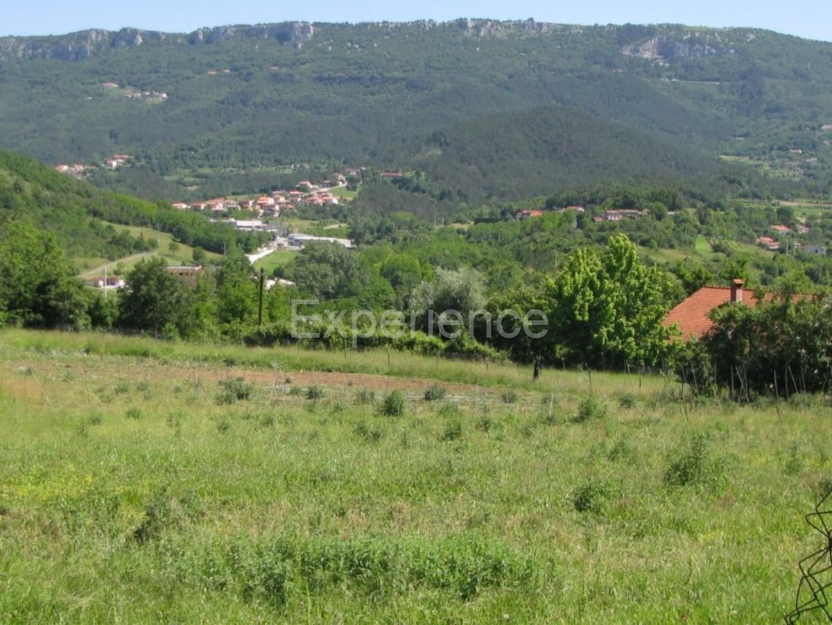 Terrain À vendre - ISTARSKA BUZET