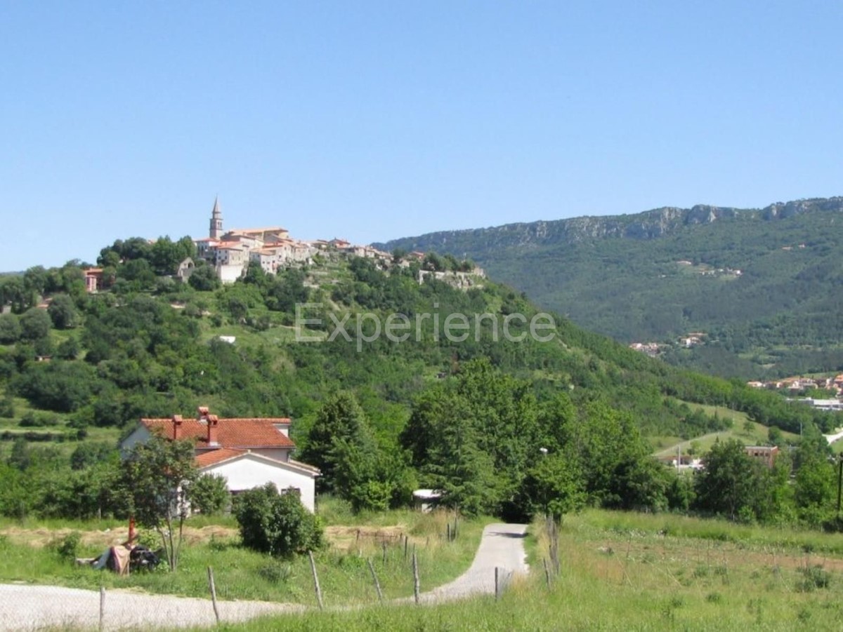 Terrain À vendre - ISTARSKA BUZET