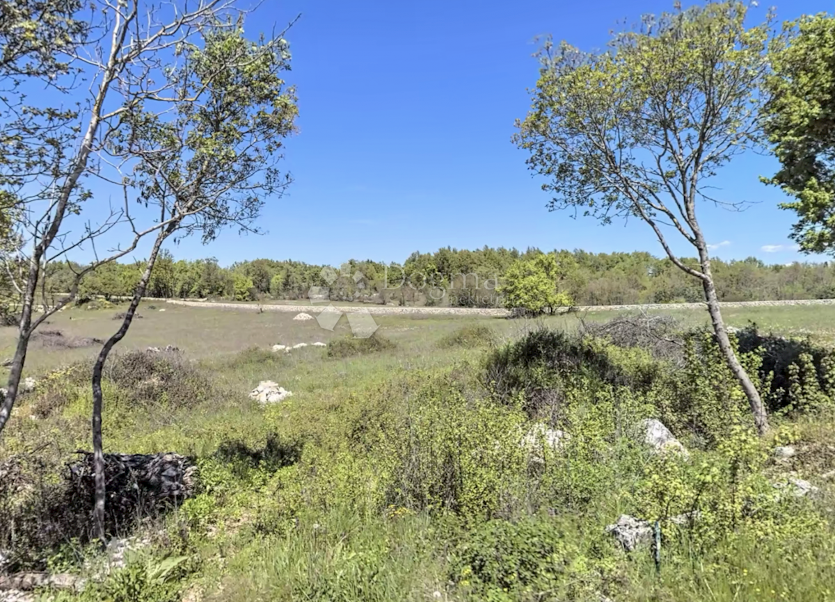 Terrain À vendre - ISTARSKA ŽMINJ