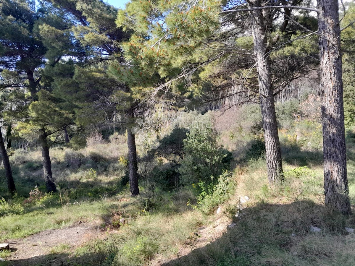 Land For sale - SPLITSKO-DALMATINSKA BRELA