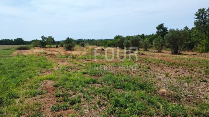 Terrain à vendre 47888 m² – Buje