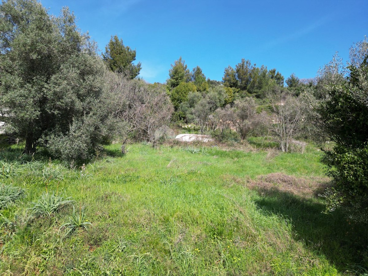 Land For sale - ISTARSKA RAŠA