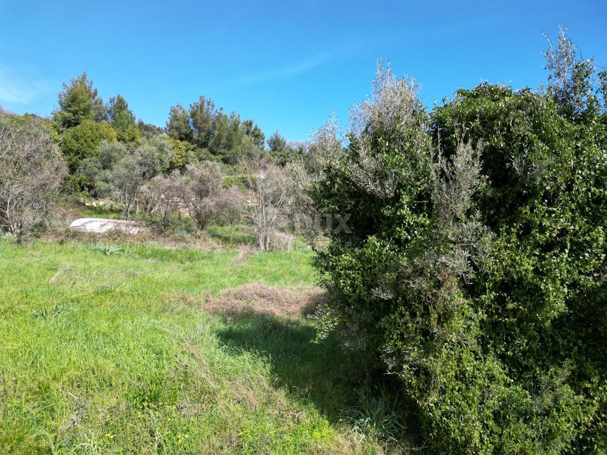 Land For sale - ISTARSKA RAŠA