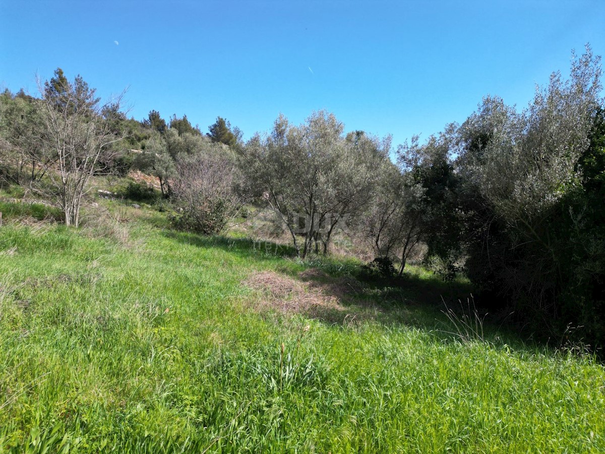 Land For sale - ISTARSKA RAŠA