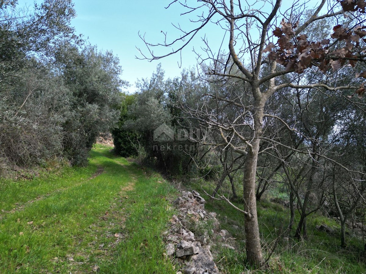 Land For sale - ISTARSKA RAŠA