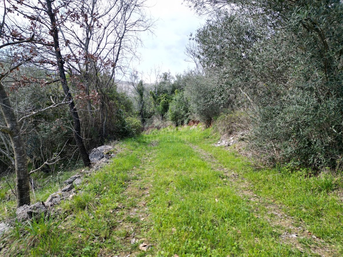 Land For sale - ISTARSKA RAŠA