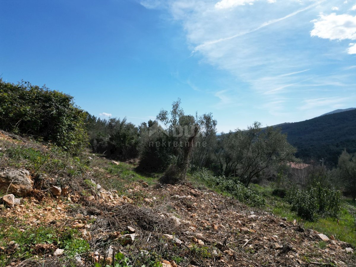 Land For sale - ISTARSKA RAŠA