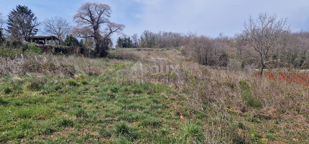 Zemljište Na prodaju - ISTARSKA TINJAN